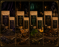 🖤 AMORY’S TEA COLLECTION